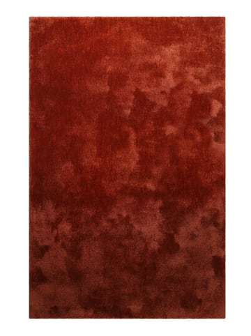 Teppich "Pisa" in Braun