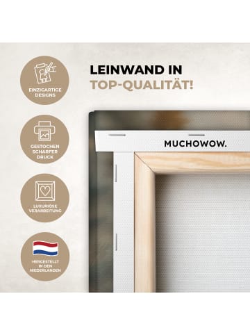 MuchoWow Leinwand bilder Löwe (BxH)
