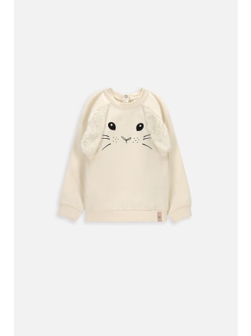 Coccodrillo Sweatshirt in ecru