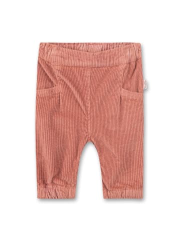 Sanetta Cordhose in Rosa