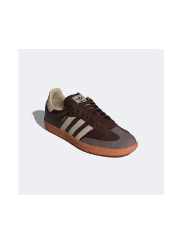 adidas Sneaker Samba in Brown/Putty Grey/Gold Met.