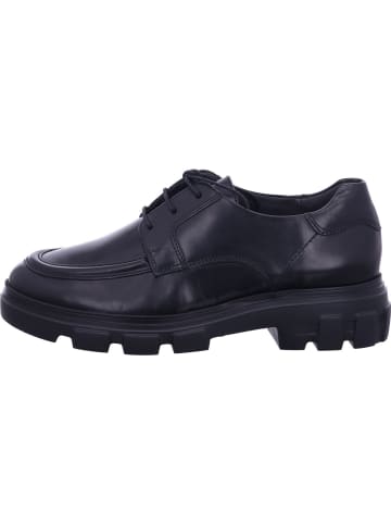 Paul Green Schnürschuh in schwarz