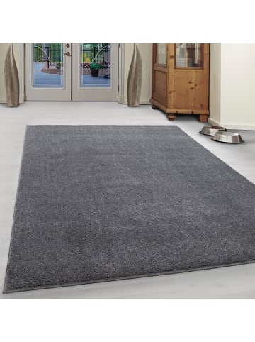 KADIMA DESIGN Teppich Kurzflor Waschbar Einfarbig MAIN Strapazierfähig OEKO-TEX in Hellgrau