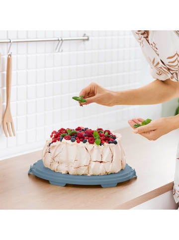 Rotho FRESH Kuchentransportbox XL in Transparent / Horizon blau