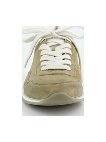 Paul Green Sportliche Schnürschuhe in Grün