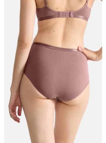 Sloggi High Waist Panty GO Daily Cotton in Schwarz / braun