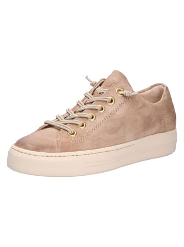 Paul Green Sneaker in beige