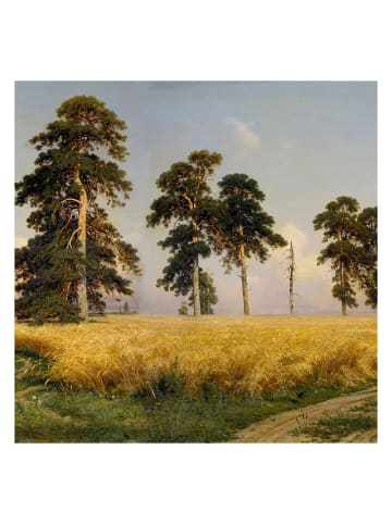 WALLPAPERS4BEGINNERS Tapete Goldenes Weizenfeld in Grün - (W) 360 × (L) 260 cm
