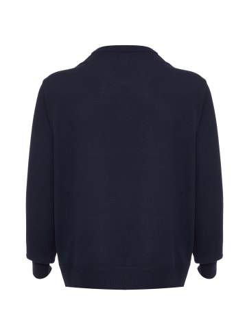 ALEKO Herren Pullover in Marine