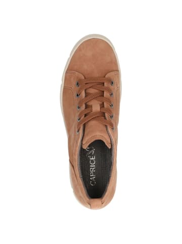 Caprice Sneaker in CAMEL NUBUC