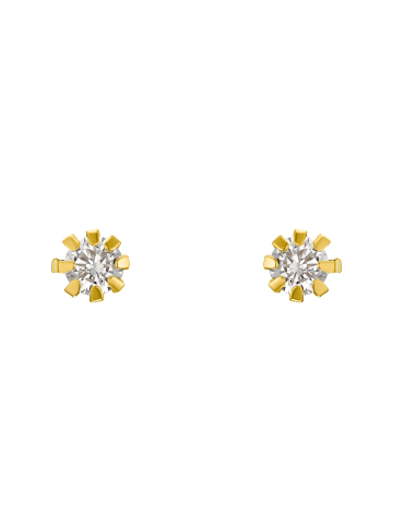 Amor Ohrstecker Gold 375/9 ct in Gold