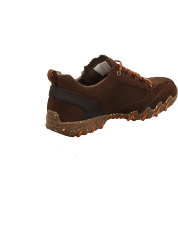 Allrounder Sneaker Low in braun