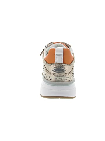 Gabor Comfort Sneaker Beige