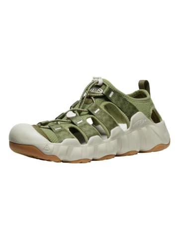 Keen Sandalen in Grün