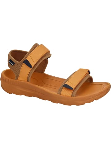 Lizard W TREK in Braun