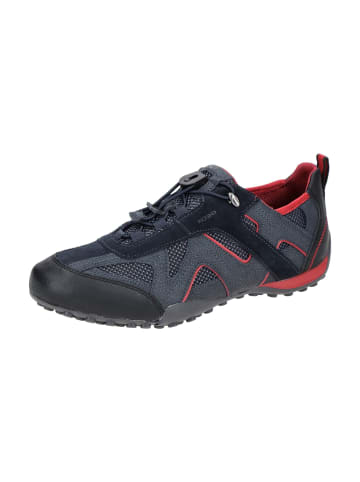 Geox Wander- & Bergschuhe in Blau