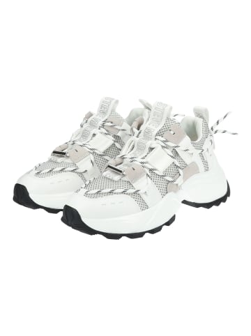 Steve Madden Sneaker in Weiß/Grau