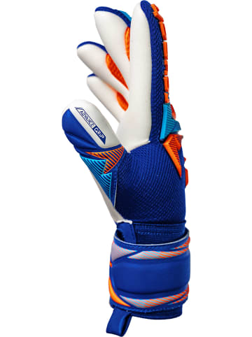 Reusch Torwarthandschuhe Attrakt Freegel Advance Junior in 4129 sharp blu/shock orang