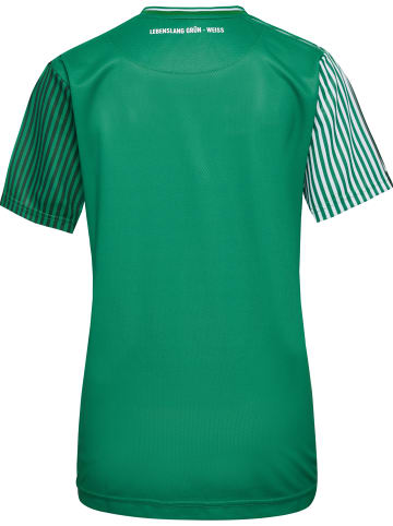 Hummel Hummel T-Shirt Wer 23/24 Fußball Damen Schnelltrocknend in EDEN