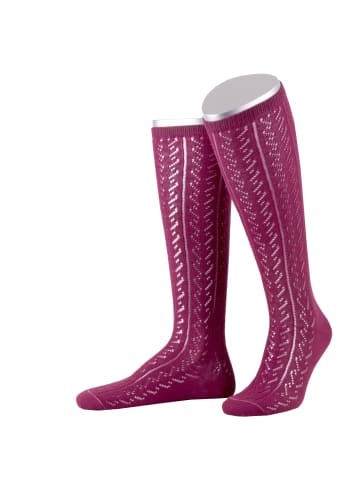 Lusana Kniestrümpfe L390L in pink (28)