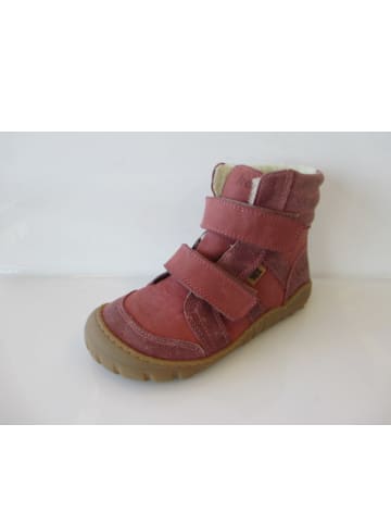 KOEL Barfußschuhe Milo 3.0 Hydro in Rosa