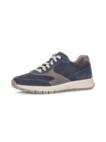 Gabor Sneaker low in blau