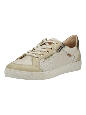 Pikolinos Sneaker Beige/Gold