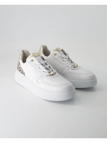Gabor Comfort Sneaker low in Weiß