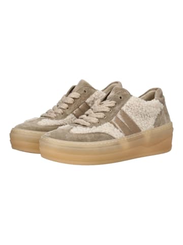 Gabor Sneaker in Beige/Braun