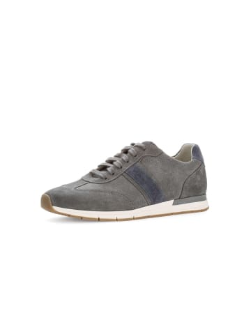 Pius Gabor Sneaker low in grau