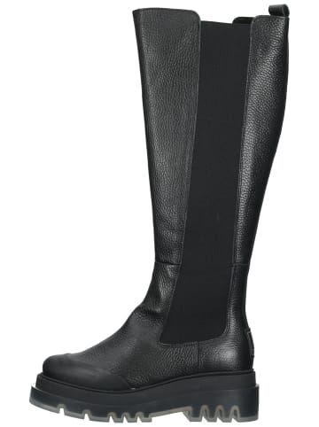 Steve Madden Stiefel in Schwarz