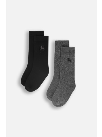 Coccodrillo Socken in bunt
