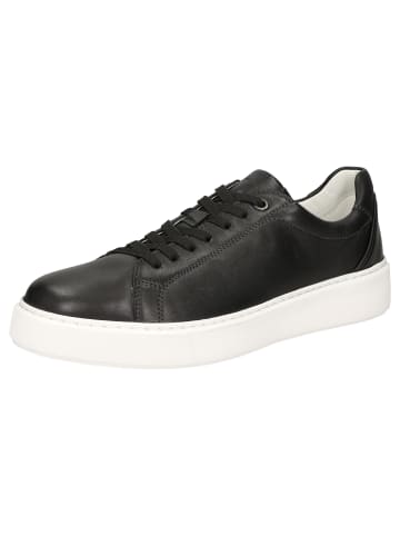 Sioux Sneaker Tils sneaker 003 in schwarz