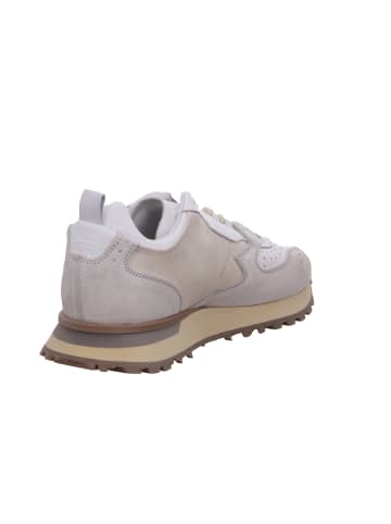 Moma Schnürschuh in weiß