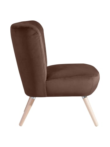 58 aufm Kessel SESSEL Kassi Bezug Samtvelours Buche natur / braun