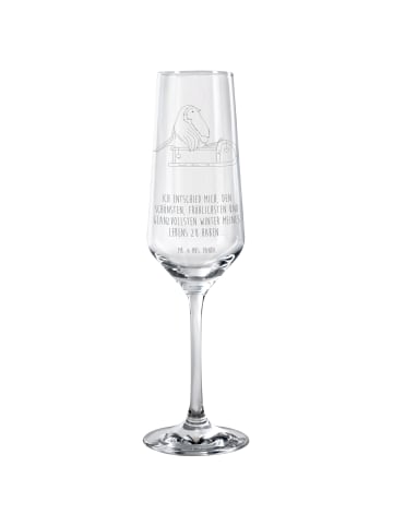 Mr. & Mrs. Panda Trinkglas Rotkehlchen Schlitten mit Spruch in Transparent
