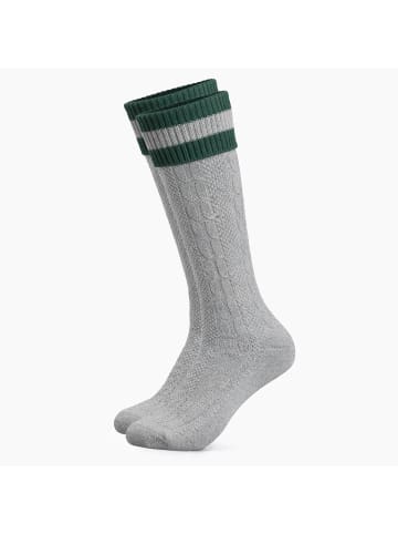 Occulto Lange Trachtensocken Wiesendistel in Hellgrau-Grün