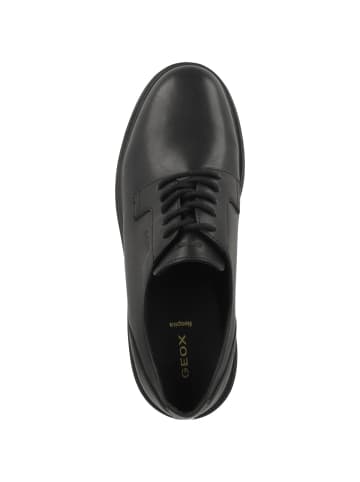 Geox Schnürschuhe U Ottavio D in schwarz