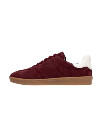 JOOP! Sneaker 'Velluto Isa in Burgunder'