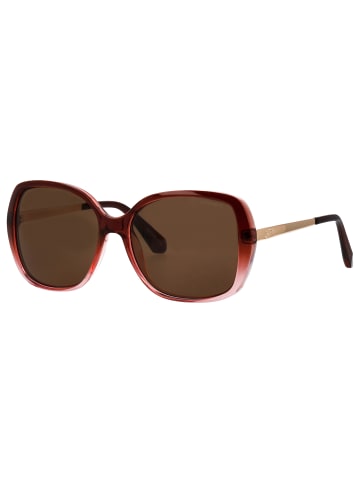 Superdry Sonnenbrille für Damen in braun
