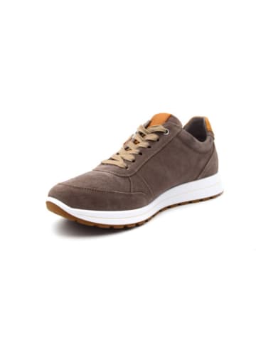 ara Sneaker für Herren in braun