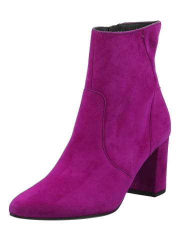 Paul Green Stiefelette in Violett