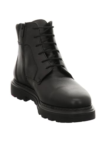 LLOYD Schnürstiefeletten in schwarz