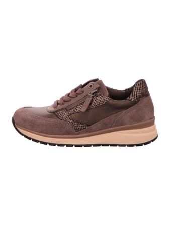 Gabor Sneaker Low in taupe