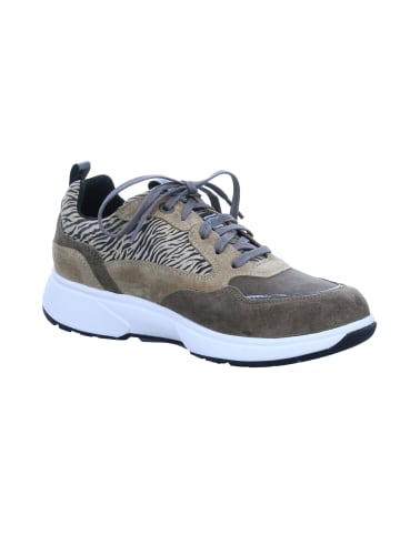 Xsensible Schnürschuhe Grenoble in nutmeg