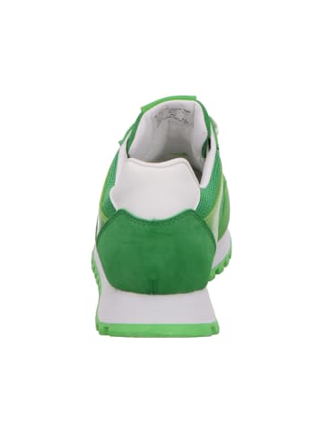 Bagatt Sneaker in grün