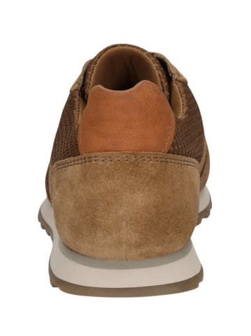 Bugatti Schnürschuh in braun