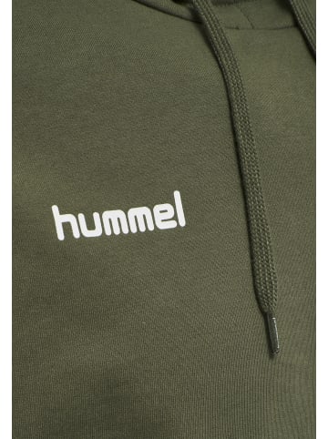 Hummel Hummel Kapuzenpullover Hmlgo Herren in GRAPE LEAF