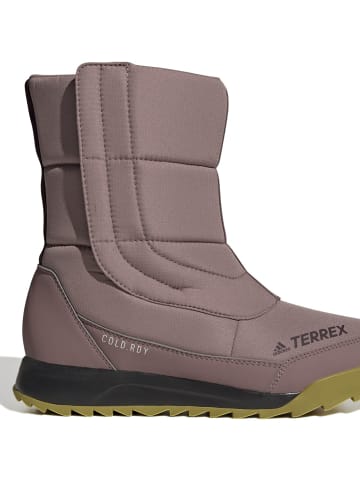 adidas TERREX CHOLEAH BOOT COLD.RDYW in Bordeaux