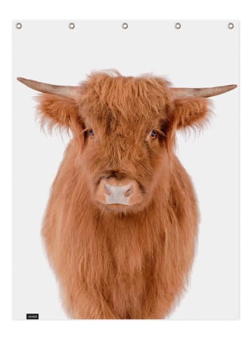 Juniqe Duschvorhang "Young Highland Cow" in Braun